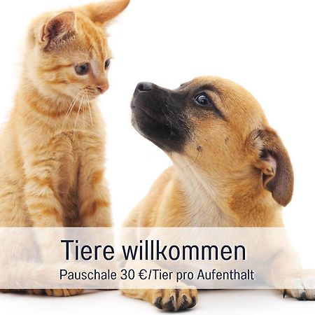Penthouse - 3 Schlafzimmer- Sonnige Dachterrasse -Whirlpool & Alpenblick - Perfekt Fuer Romantik Oder Familienurlaub Mit Kind, Hund Willkommen - By Ferienwohnenamsee - Uberlingen Exterior foto